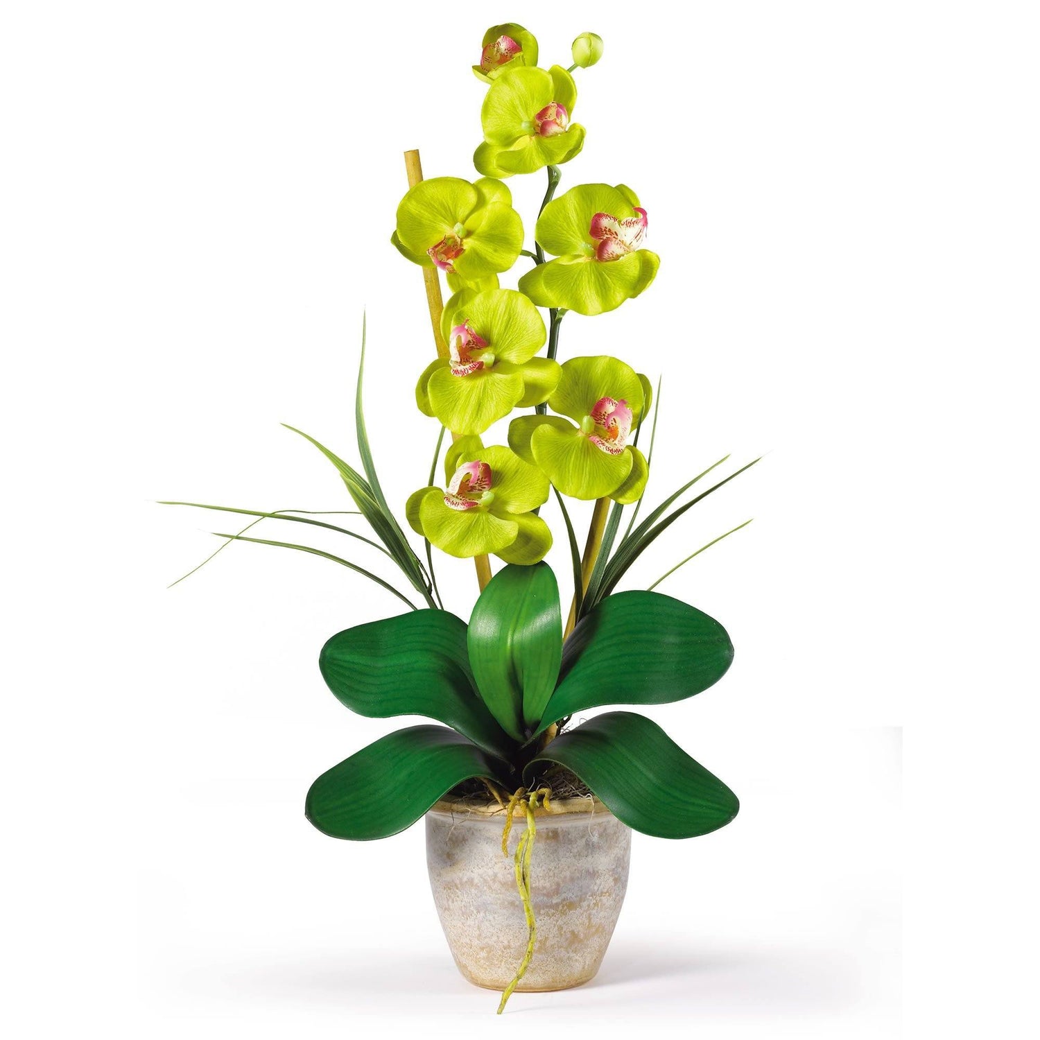 Nearly Natural Single Stem Phalaenopsis Silk Orchids - Gold - Artificial  Flowers - Silk Flowers