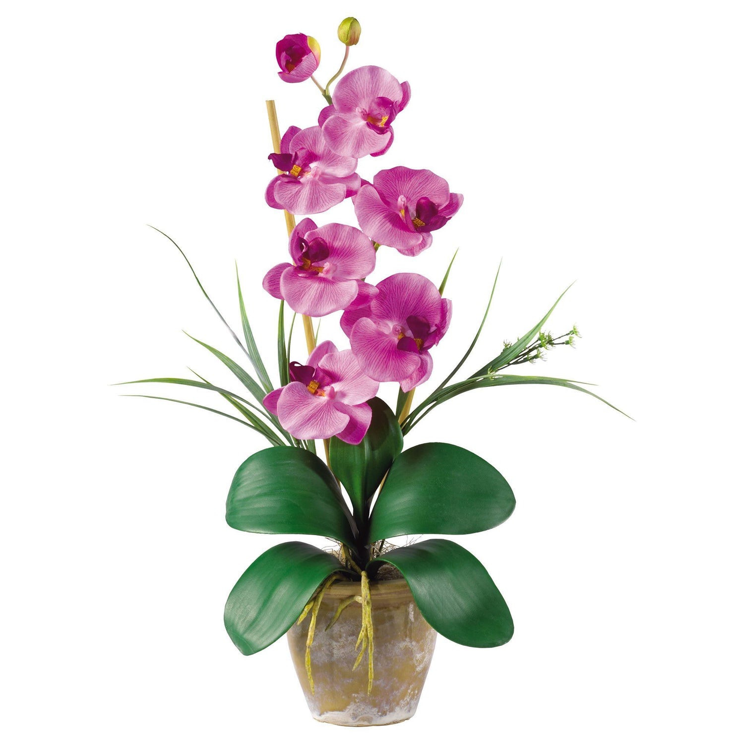 Nearly Natural Phalaenopsis Silk Orchid Flower Stems - Beauty, Set