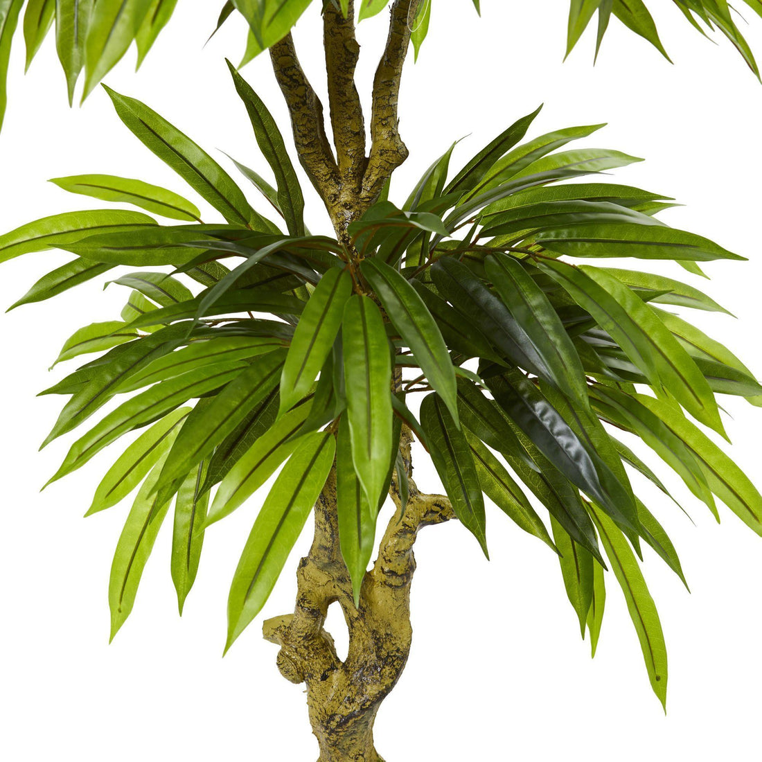 mango tree indoor plant Nearly Natural Indoor/Outdoor UV Resistant Slim Mango Artificial Tree