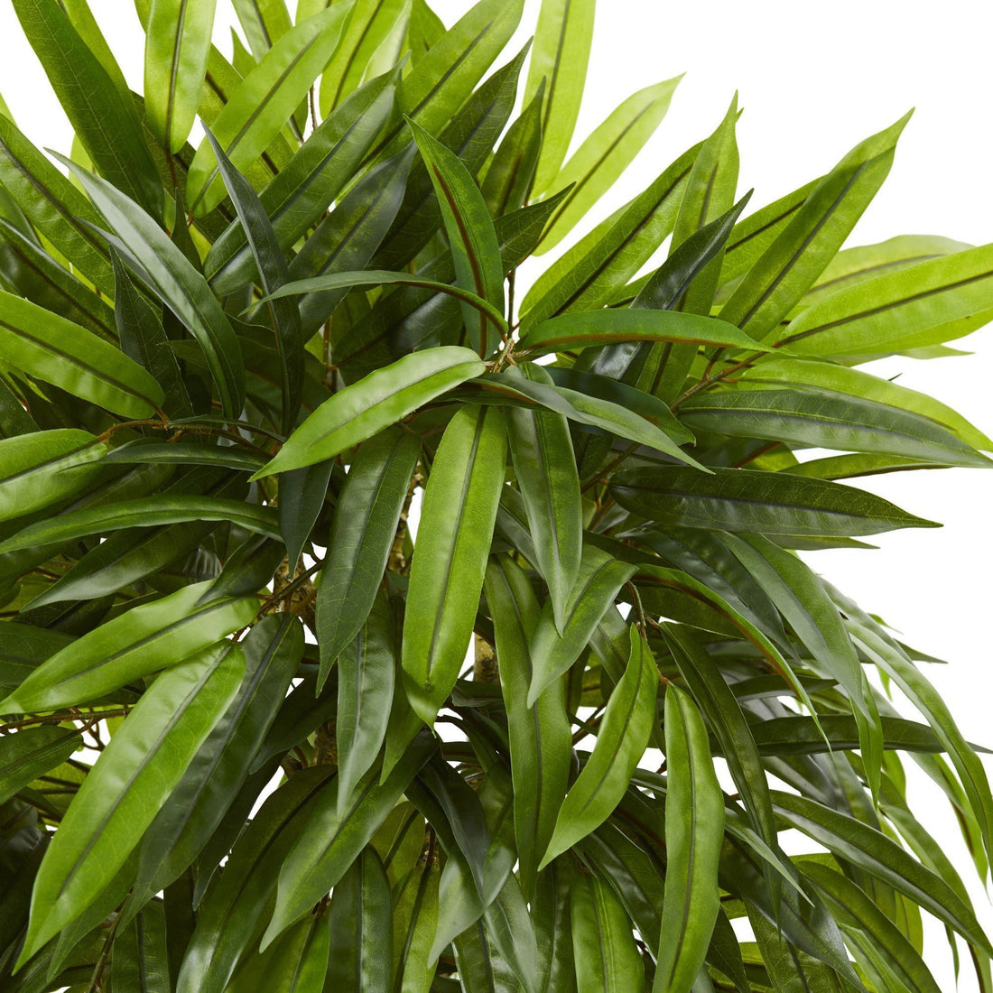 mango plant indoors Nearly Natural Indoor/Outdoor UV Resistant Slim Mango Artificial Tree