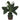 Spathyfillum w/Coiled Rope Wicker Silk Plant