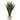 Spiked Agave in Sand Colored Bowl (Indoor/Outdoor)