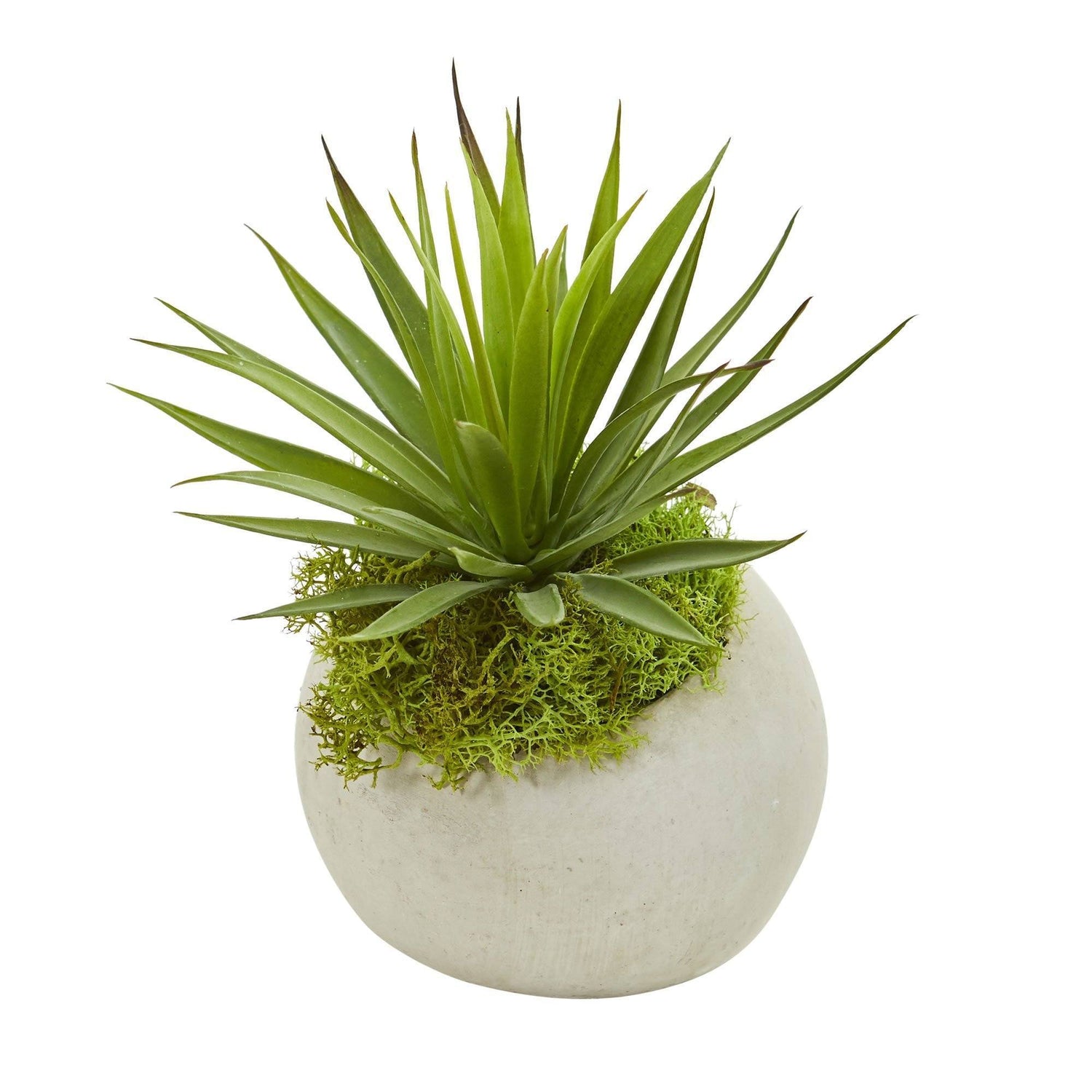 Spiky Agave Artificial Plant in Planter (Set of 2)