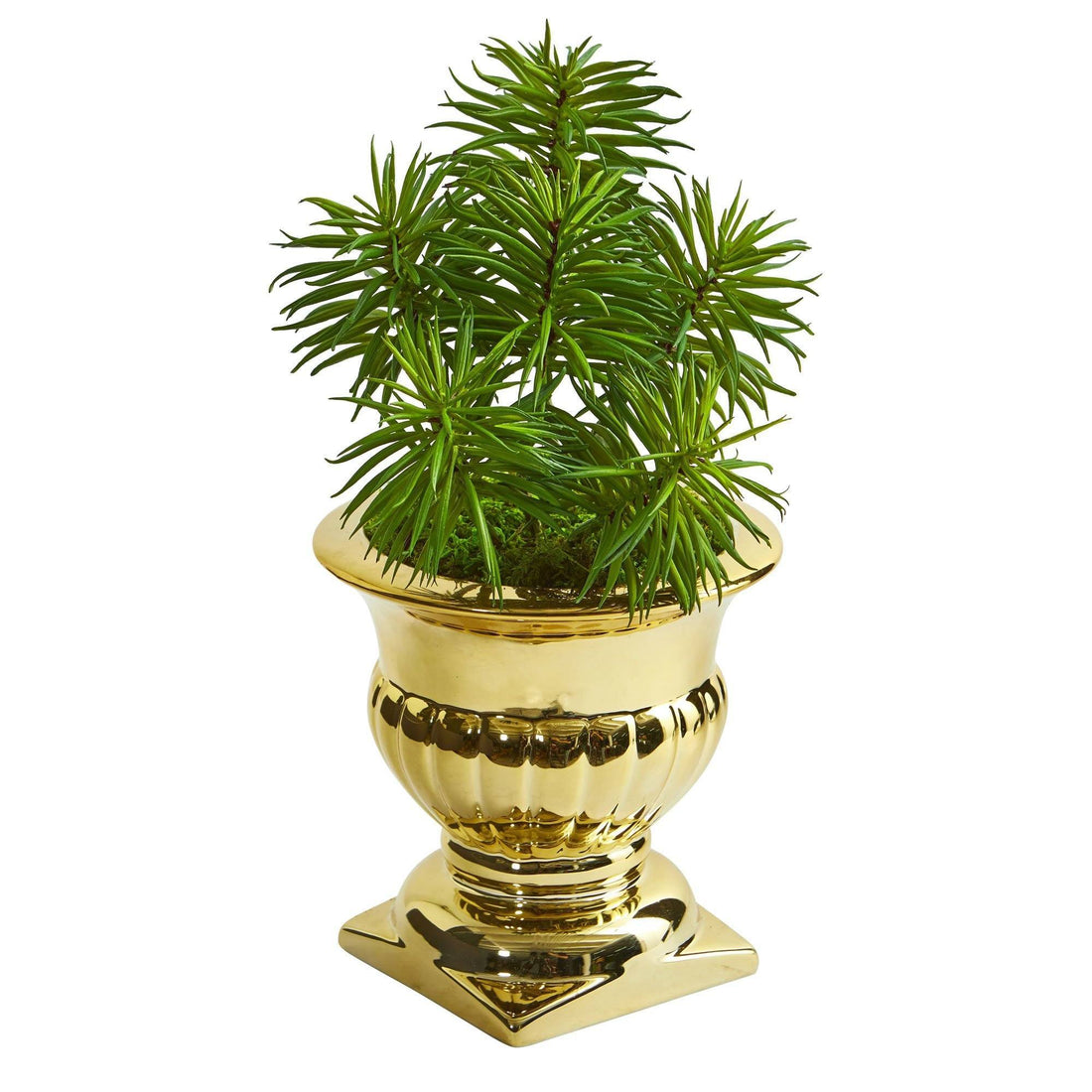 spikey succulent Spiky Succulent Artificial Plant in Gold Urn