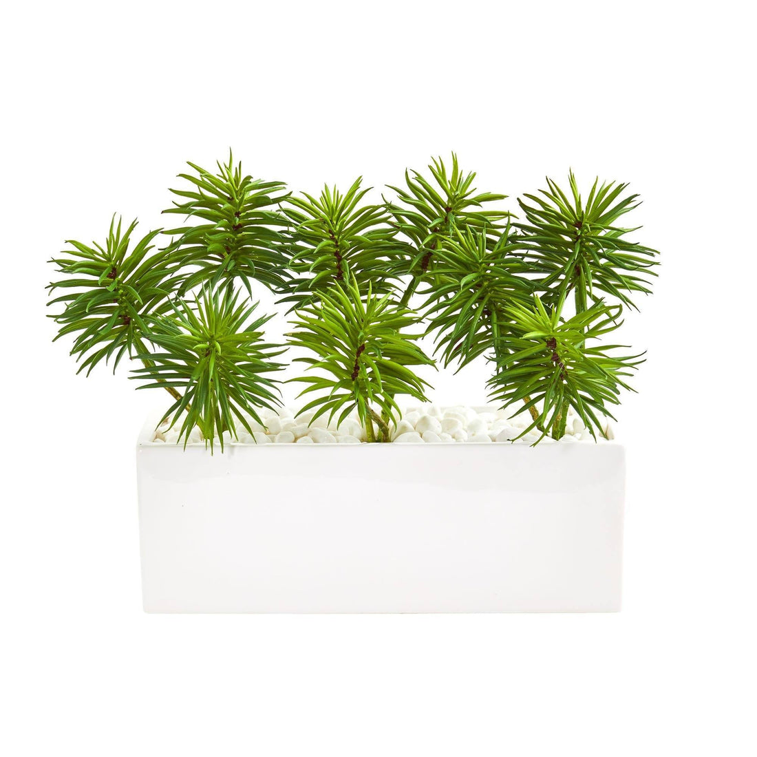 spiky succulent house plant Spiky Succulent Garden Artificial Plant in White Ceramic Vase
