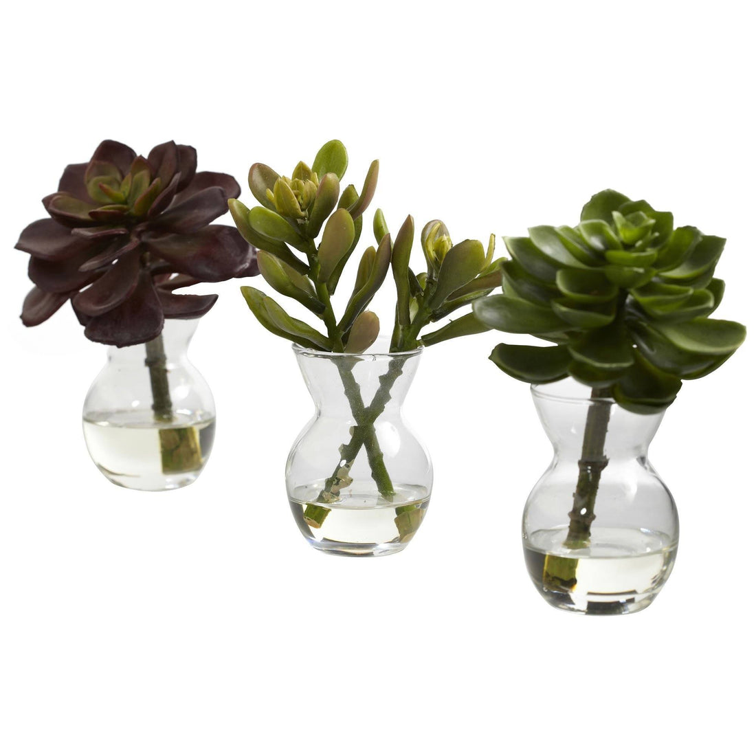 artificial succulent plant arrangements Succulent Arrangements (Set of 3)