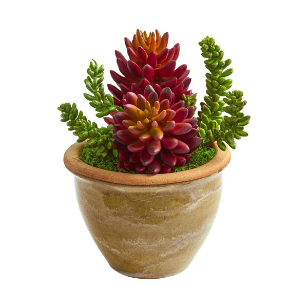 Succulent Artificial Plant in Ceramic Planter (Set of 2)