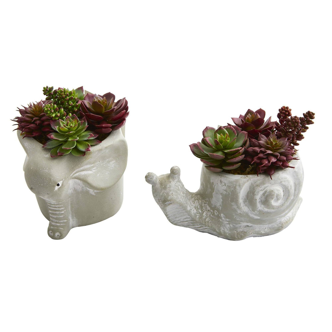 succulent snail Succulent Artificial Plant in Elephant and Snail Planter (Set of 2)