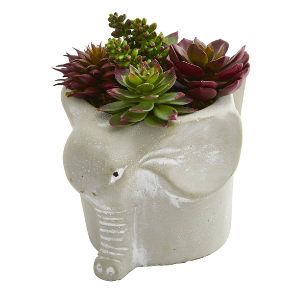 Succulent Artificial Plant in Elephant and Snail Planter (Set of 2)