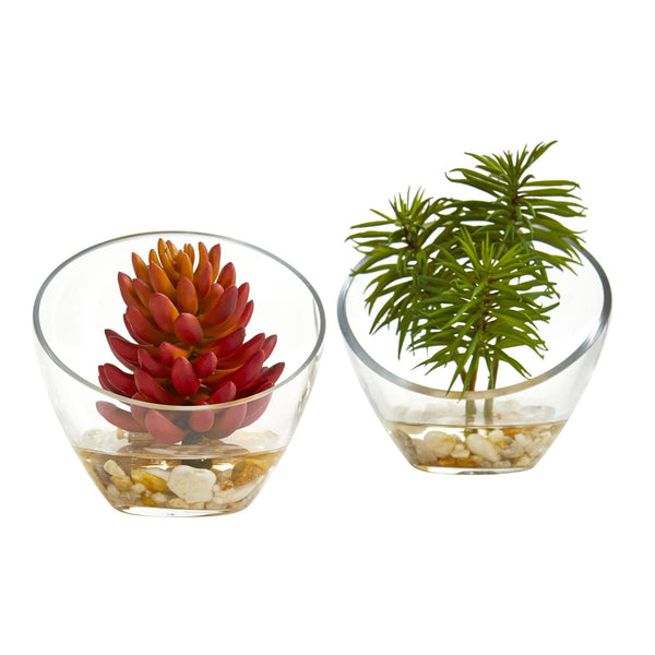 Artificial Succulent Plant in Slanted Glass Vase (Set of 2)
