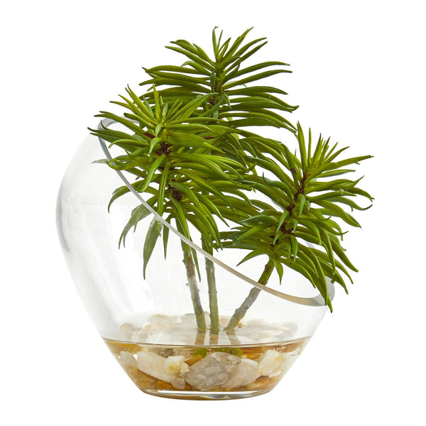 Artificial Succulent Plant in Slanted Glass Vase (Set of 2)