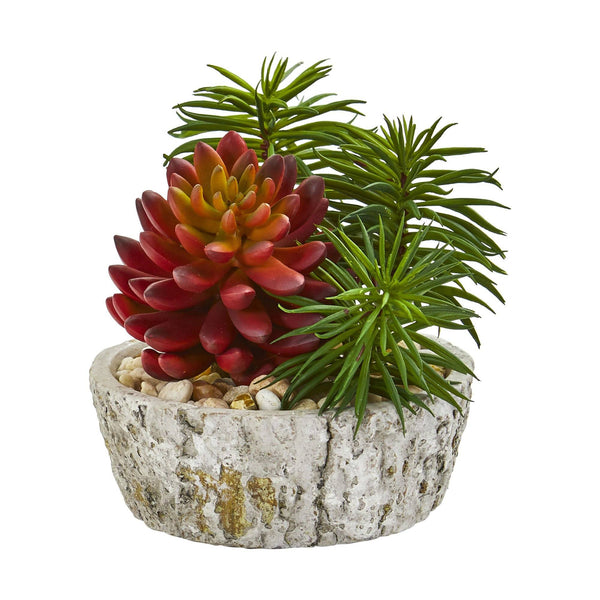 Artificial Succulent Plant in Weathered Oak Planter (Set of 2)