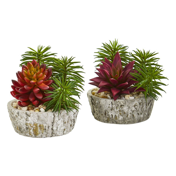 Artificial Succulent Plant in Weathered Oak Planter (Set of 2)