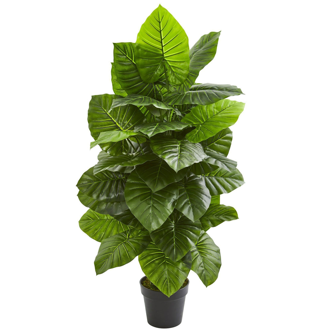 taro house plant Taro Artificial Plant