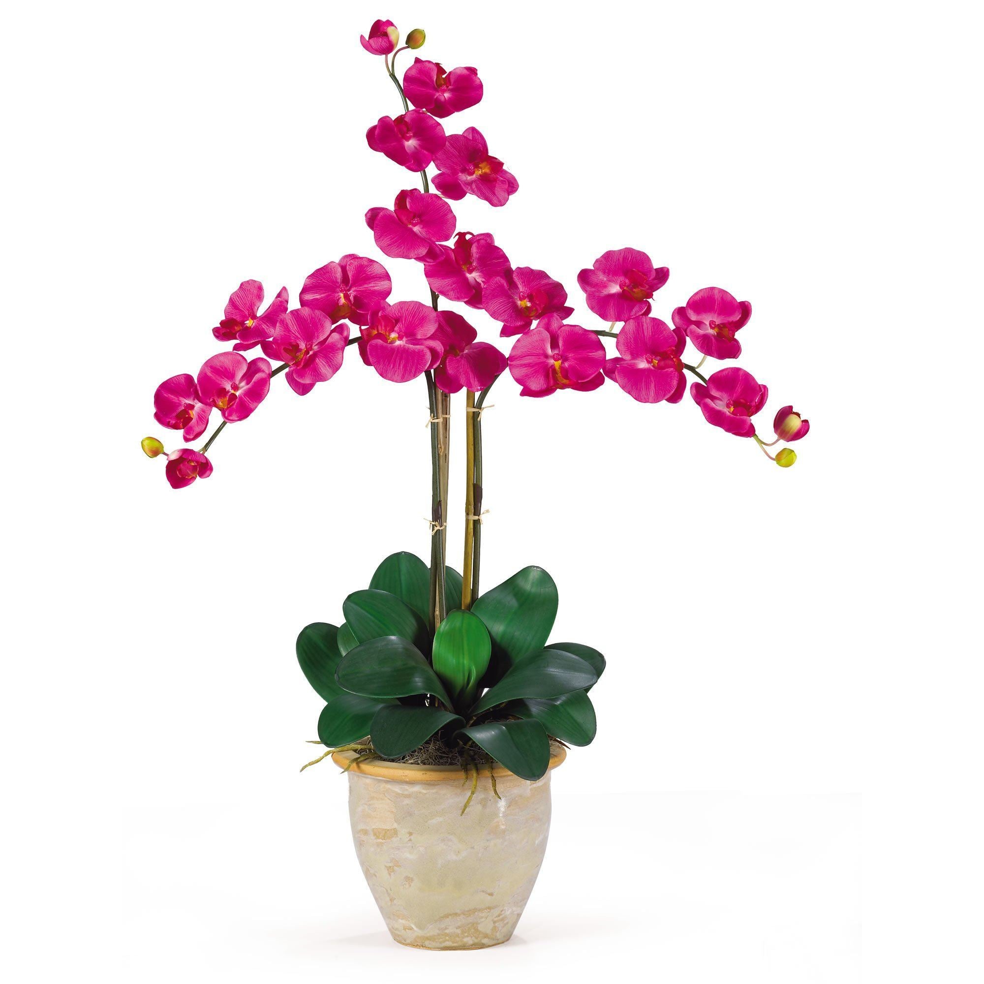 Triple Stem Phalaenopsis Silk Orchid Arrangement - Thumbnail 3