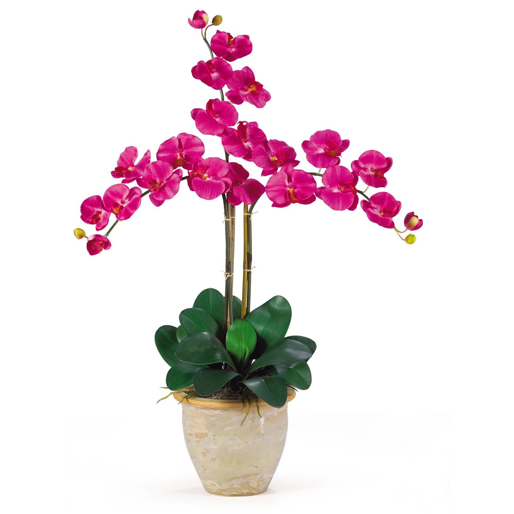 Triple Stem Phalaenopsis Silk Orchid Arrangement 1017 Nearly Natural