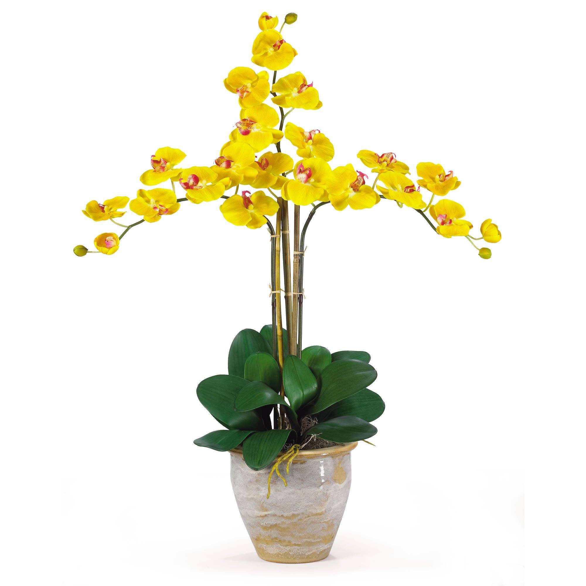 Triple Stem Phalaenopsis Silk Orchid Arrangement - Thumbnail 2