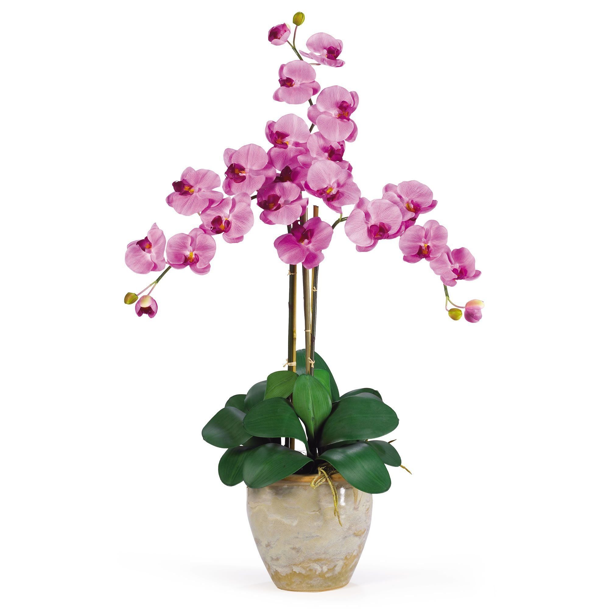 Triple Stem Phalaenopsis Silk Orchid Arrangement - Thumbnail 5