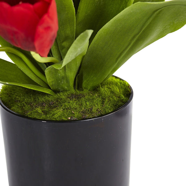 Tulips in Black Glossy Cylinder