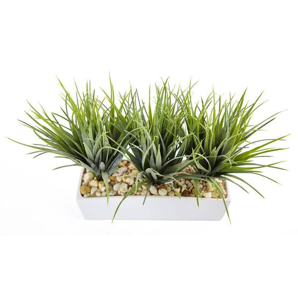 Vanilla Grass in Rectangular Planter