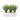 Vanilla Grass in Rectangular Planter