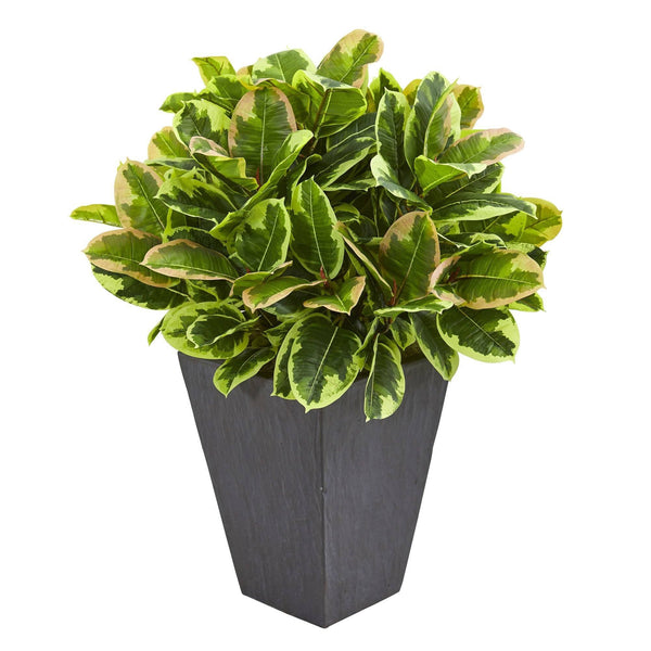 Variegated Rubber Artificial Plant in Slate Planter (Real Touch)