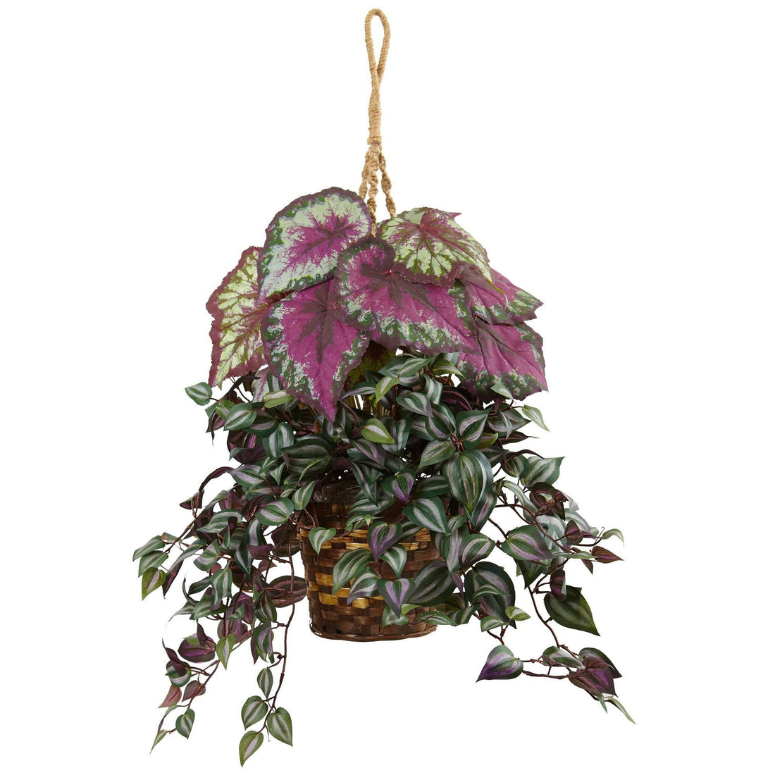planting hanging begonias Wandering Jew and Begonia Hanging Basket