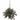 Wandering Jew Hanging Basket