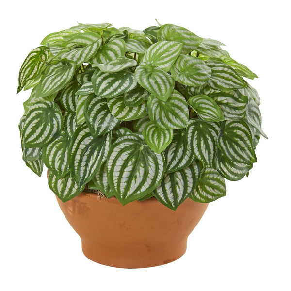 Watermelon Peperomia Artificial Plant in Clay Planter (Real Touch)
