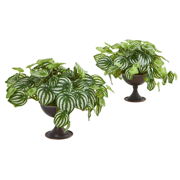 Watermelon Peperomia Artificial Plant in Metal Chalice (Real Touch) (Set of 2)