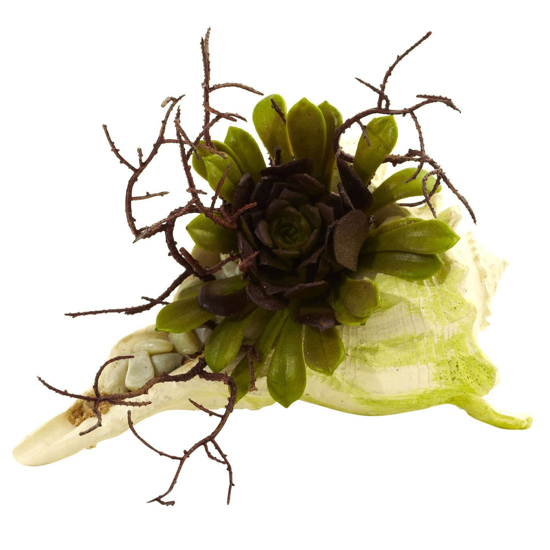 wispy succulents Wispy Succulent w/Seashell (Set of 3)