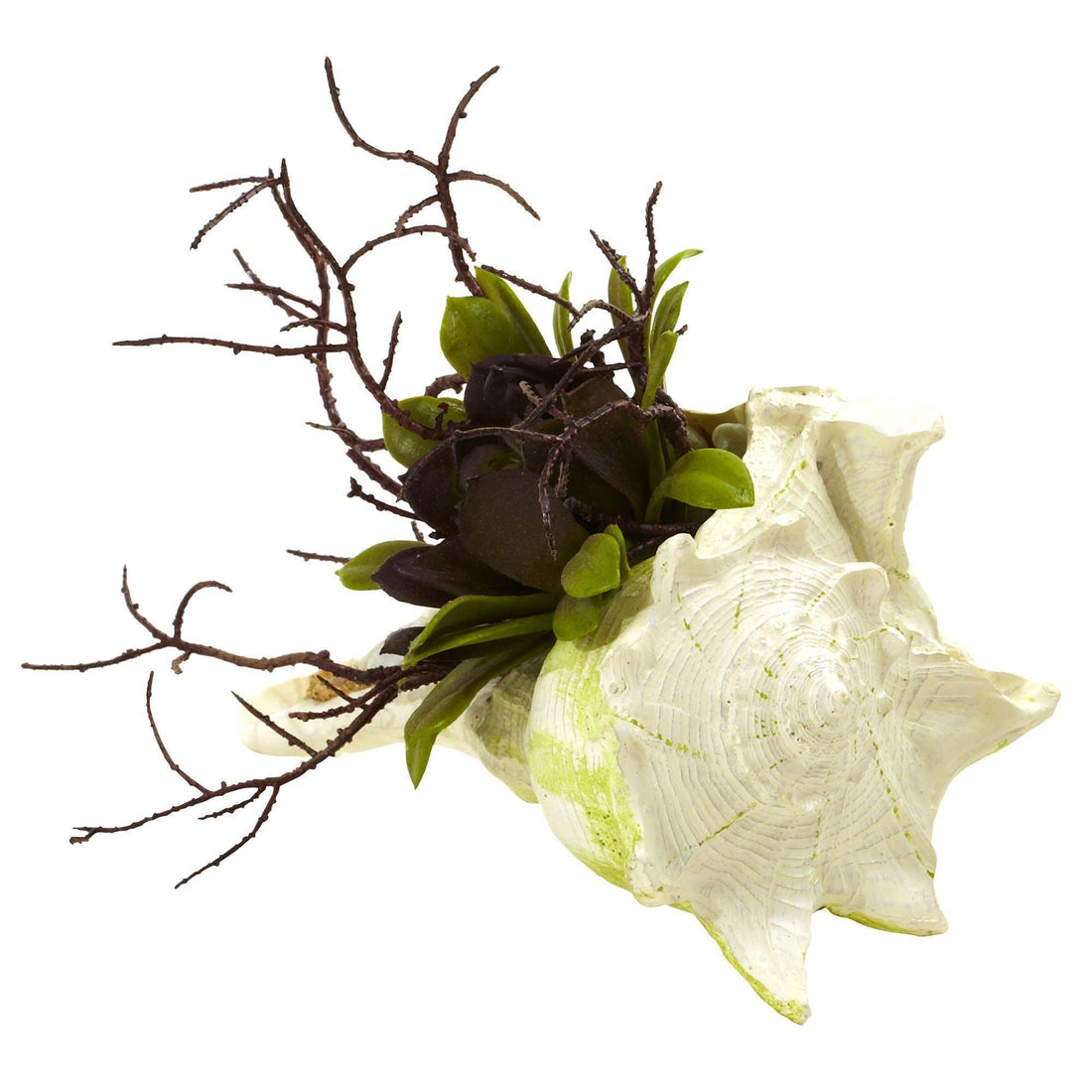 wispy succulents Wispy Succulent w/Seashell (Set of 3)