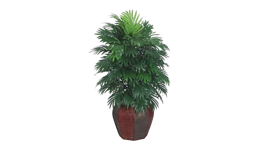 areca palm with bamboo vase silk plant Areca Palm w/Vase Silk Plant